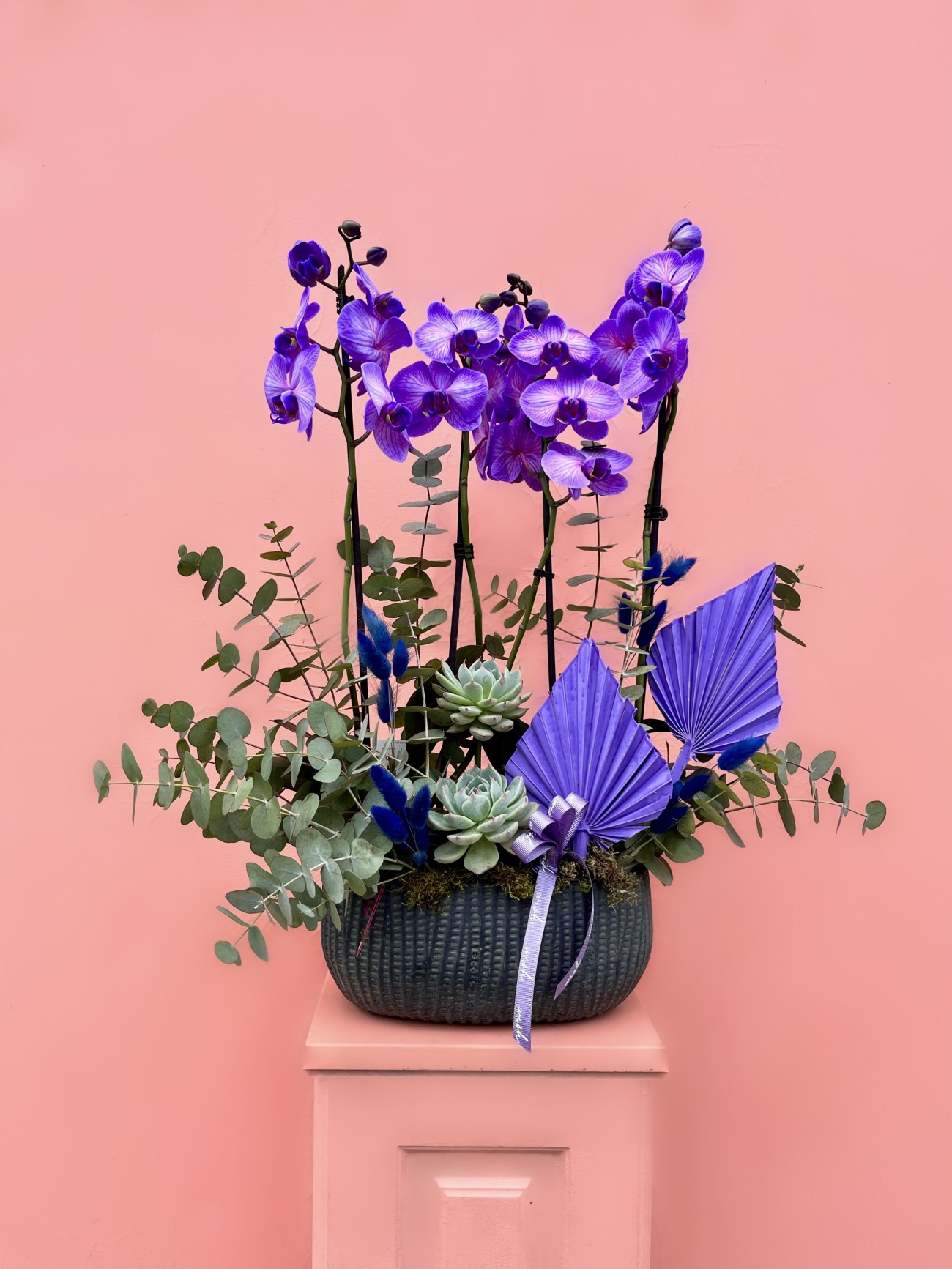 Özel Tür Wonder Purple Orkide Bahçesi