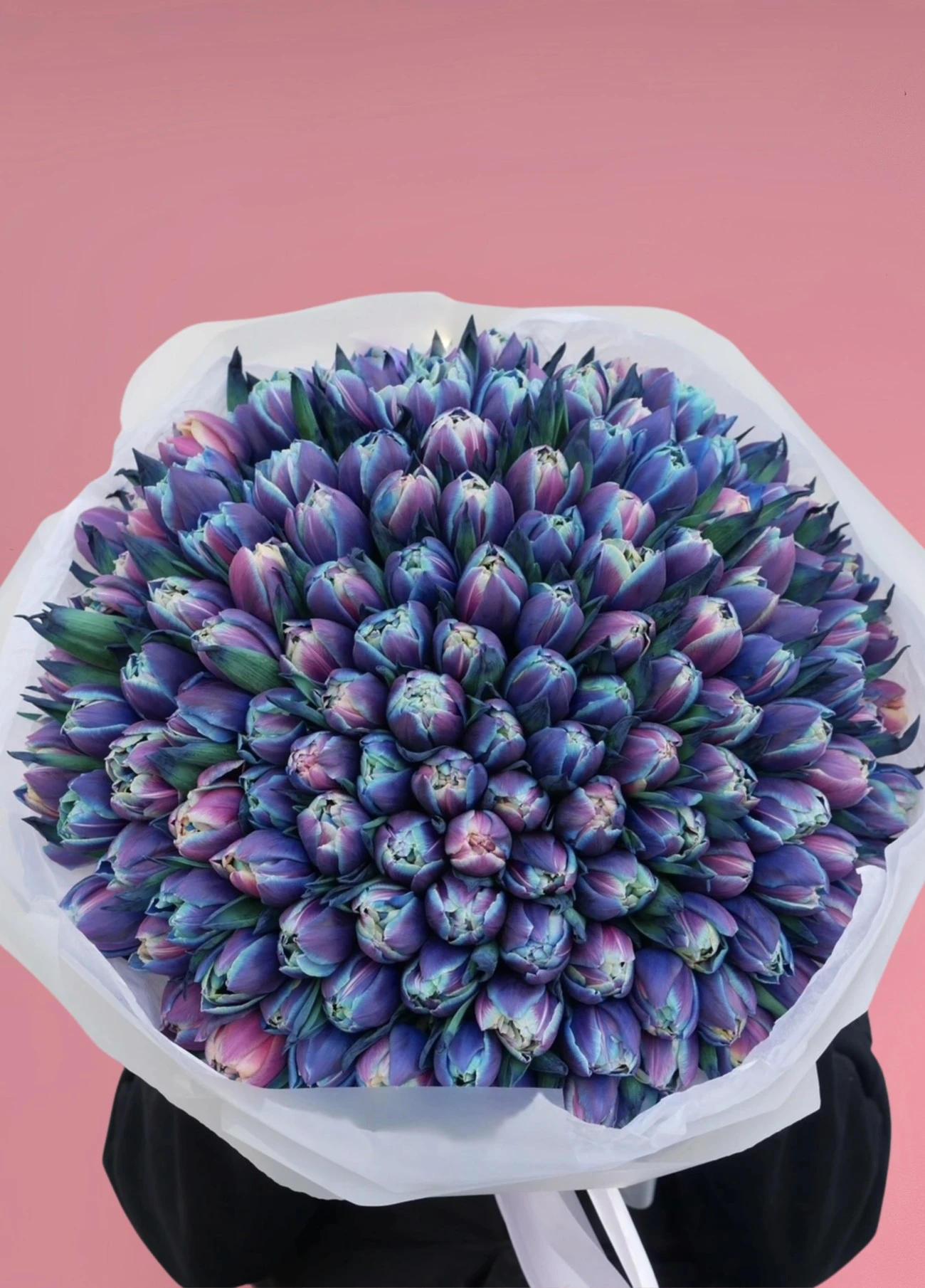 200 Adet Lüks Blue Sky Katmerli Lale Buketi