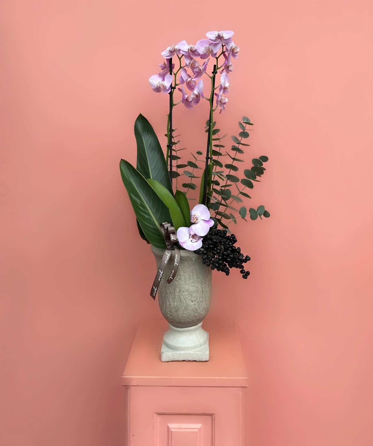 İki Renkli Özel Tür Orkide