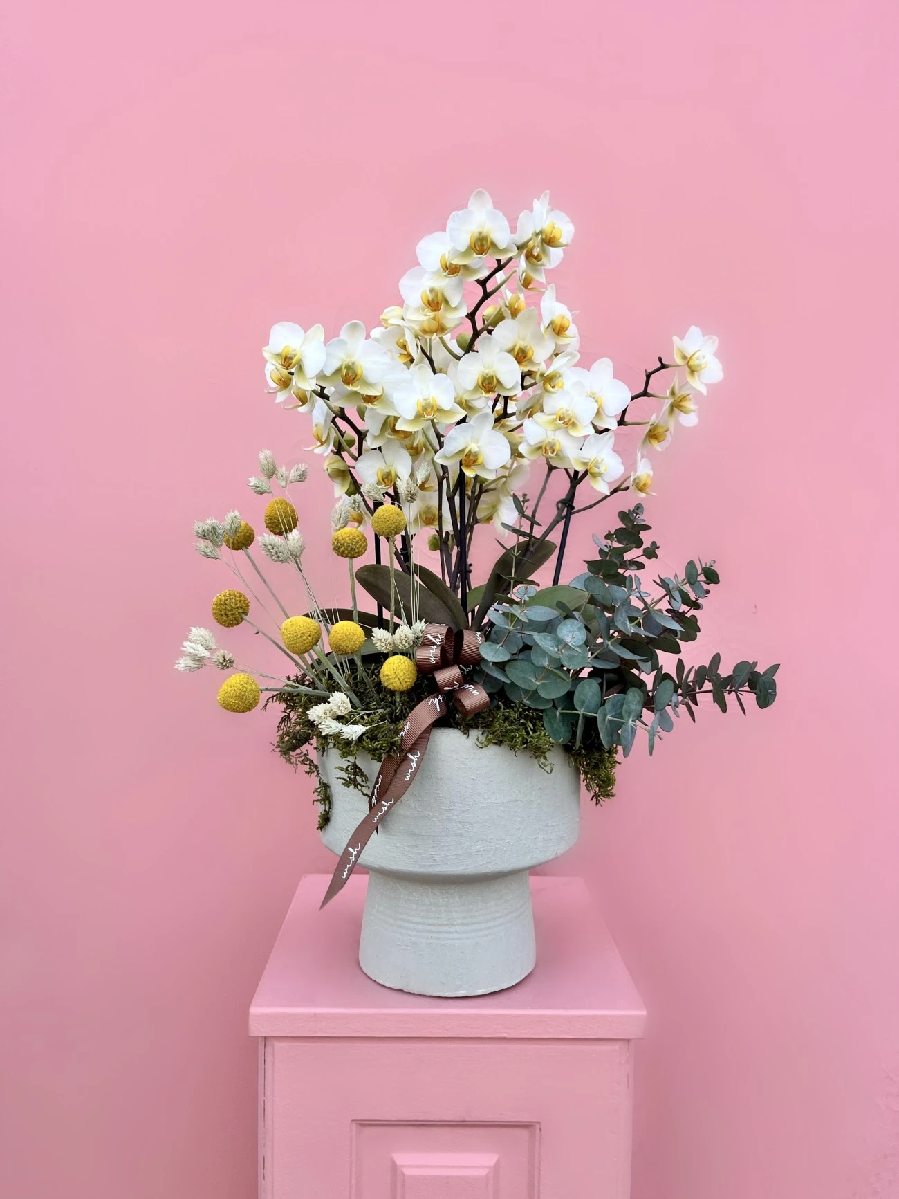 Midi Boy Beyaz Bougetto Orkide