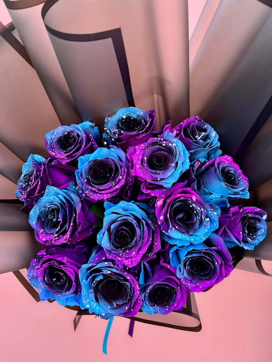 Galactic Roses Özel Ekvator Gülleri