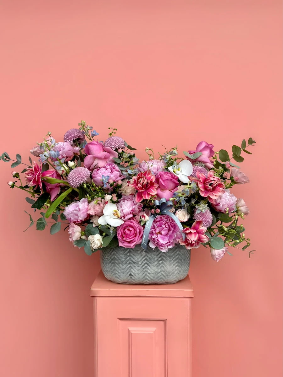 Marissa Lüks Aranjman