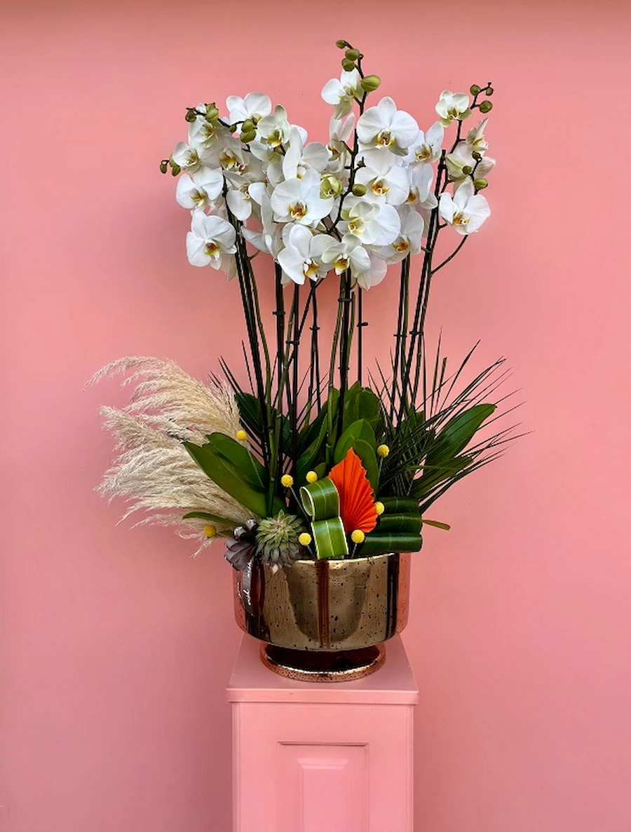 Özel Tasarım Lüks Beyaz Orkide Bahçesi