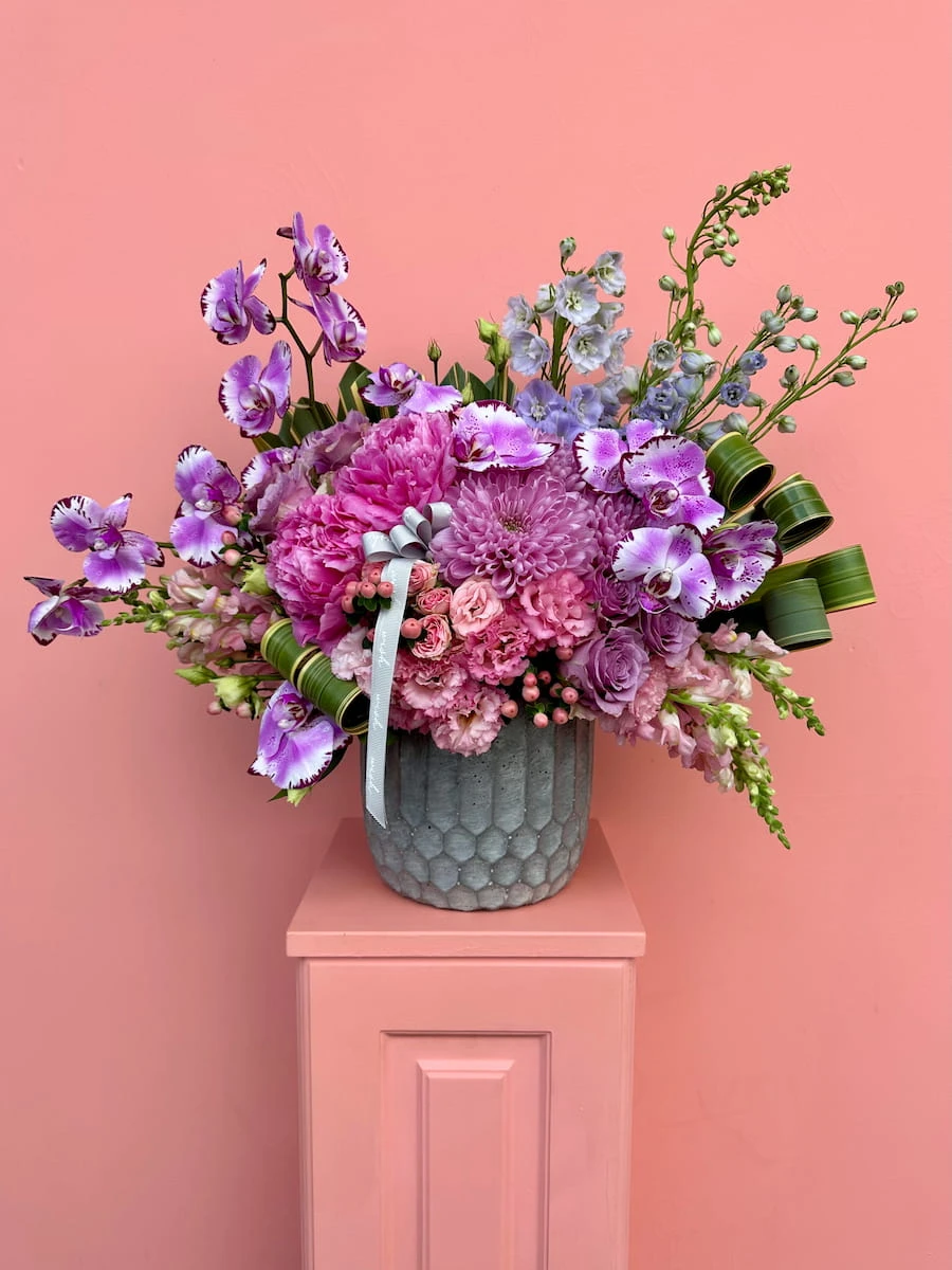 Vanessa Lüks Aranjman